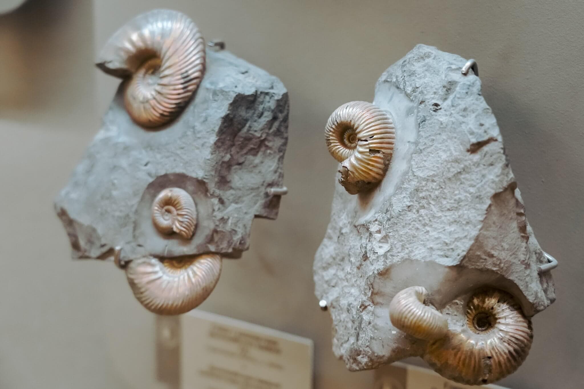 dsc00614-1-2048x1365